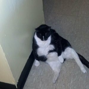 Meet your Posher, Marleny